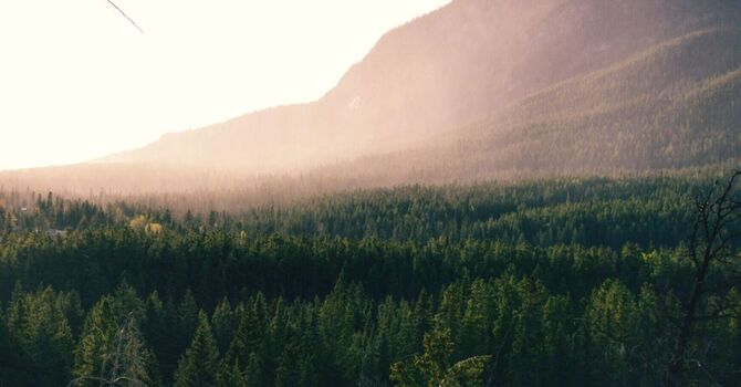 Life Goals Worksheet