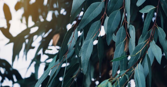 Life Goals Worksheet